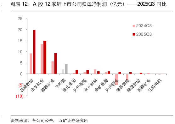请问一下A 股 12 家锂上市公司归母净利润（亿元）2025Q3 同比