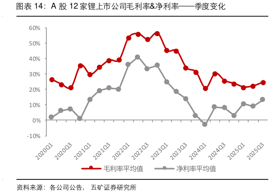 我想了解一下A 股 12 家锂上市公司毛利率净利率季度变化