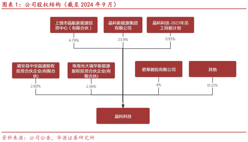 想问下各位网友公司股权结构（截至 2024 年 9 月）?