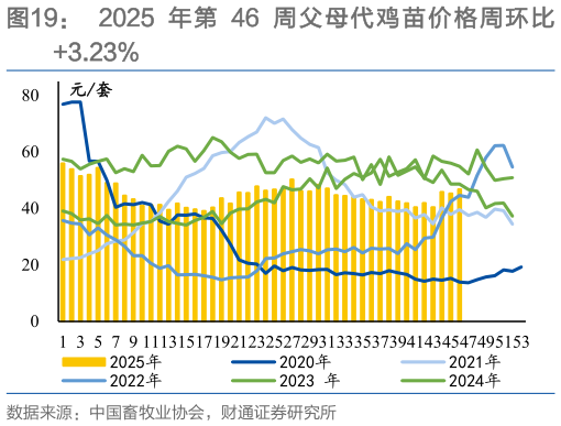 你知道2025 年第 46 周父母代鸡苗价格周环比