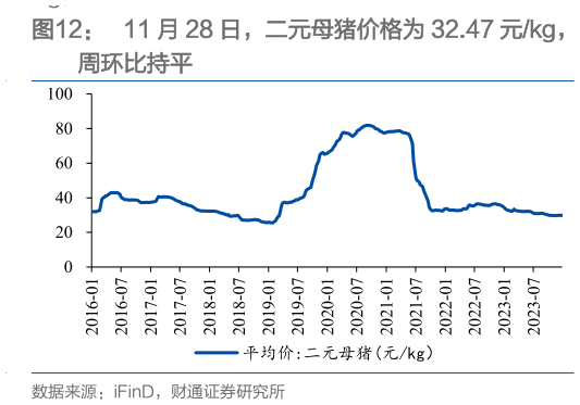 如何了解11 月 28 日，二元母猪价格为 32.47 元kg，?