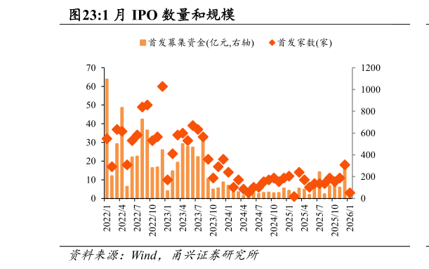 如何了解1 月 IPO 数量和规模?