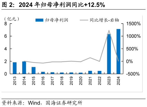 我想了解一下2024 年归母净利润同比12.5%