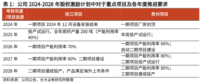 想问下各位网友公司 2024-2028 年股权激励计划中对于重点项目及各年度推进要求?