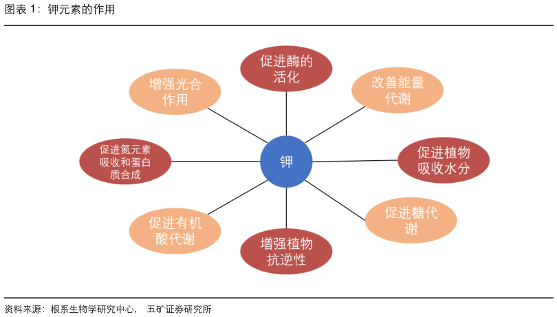 谁能回答钾元素的作用
