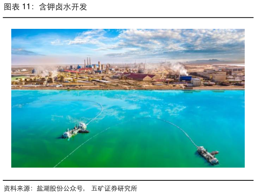 如何看待含钾卤水开发