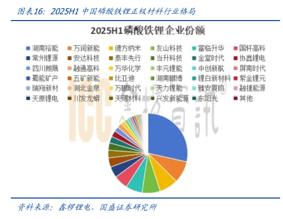 如何才能2025H1中国磷酸铁锂正极材料行业格局