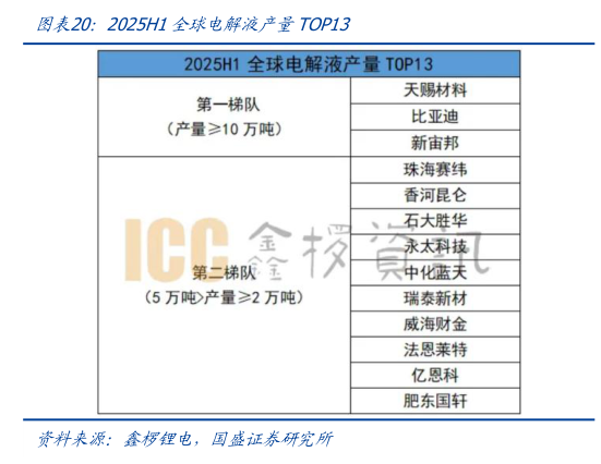 想问下各位网友2025H1全球电解液产量TOP13