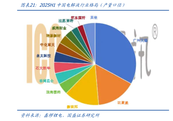 咨询下各位2025H1中国电解液行业格局（产量口径）