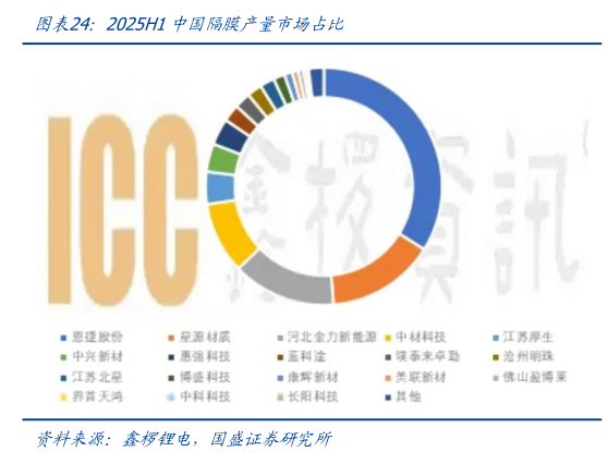 如何才能2025H1中国隔膜产量市场占比