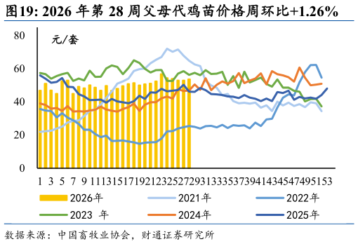 如何解释2026 年第 28 周父母代鸡苗价格周环比1.26%