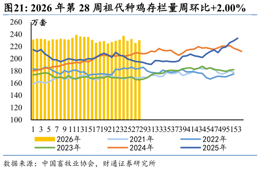 怎样理解2026 年第 28 周祖代种鸡存栏量周环比2.00%