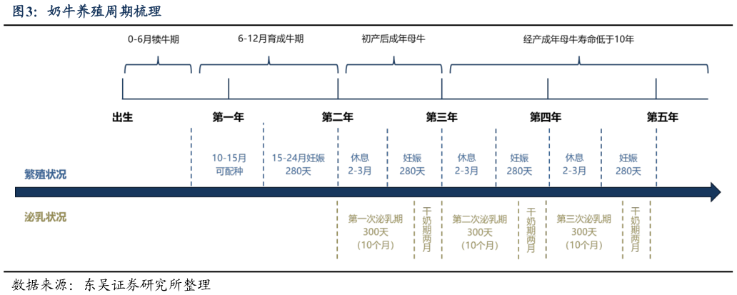 怎样理解奶牛养殖周期梳理