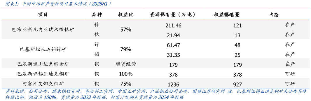一起讨论下中国中冶矿产资源项目基本情况（2025H1）