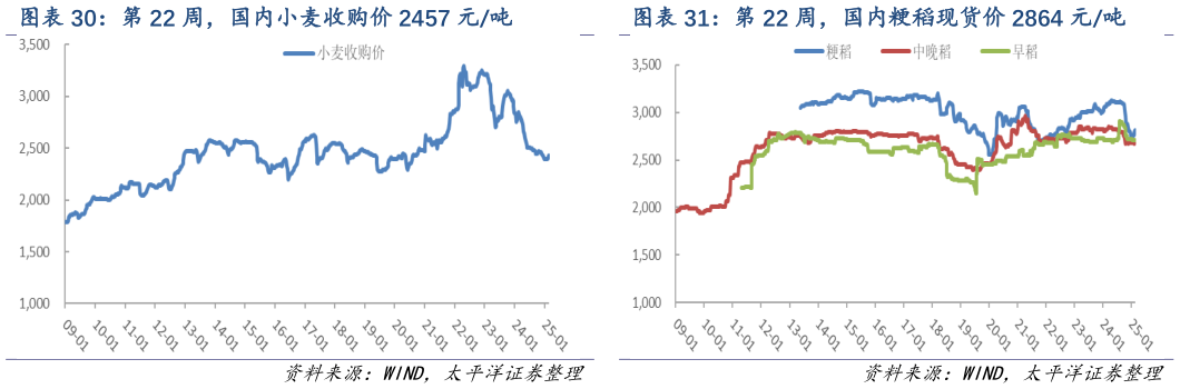 咨询下各位第 22 周，国内小麦收购价 2457 元吨 第 22 周，国内粳稻现货价 2864 元吨?