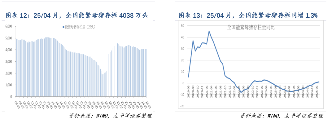 如何了解2504 月，全国能繁母猪存栏同增 1.3%?