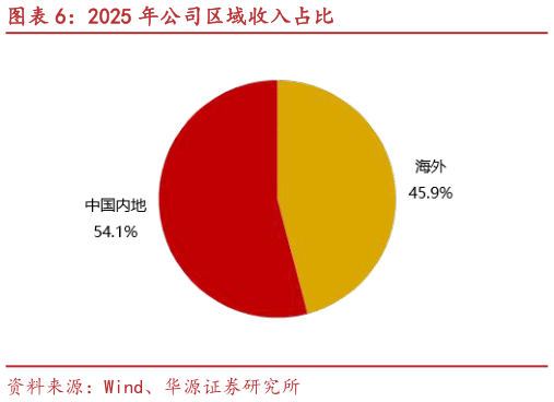我想了解一下2025 年公司区域收入占比