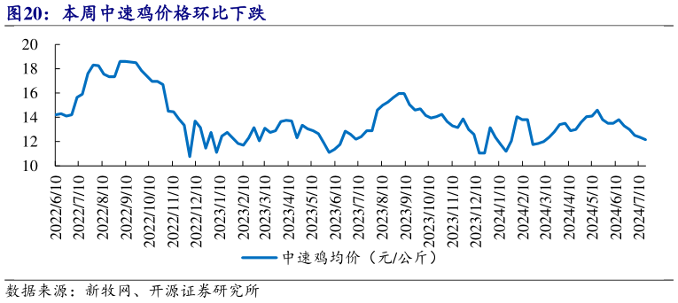 如何了解本周中速鸡价格环比下跌