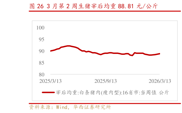 怎样理解3 月第 2 周生猪宰后均重 88.81 元公斤