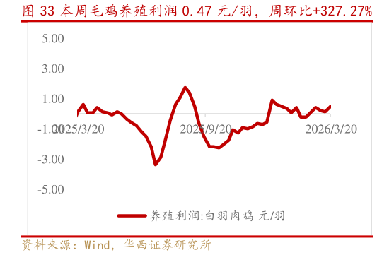 如何看待本周毛鸡养殖利润 0.47 元羽，周环比327.27%