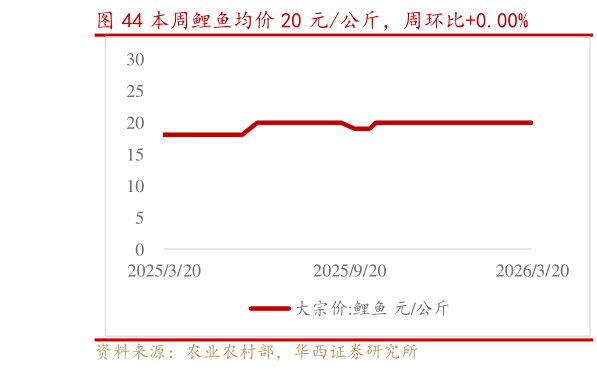 如何解释本周鲤鱼均价 20 元公斤，周环比0.00%