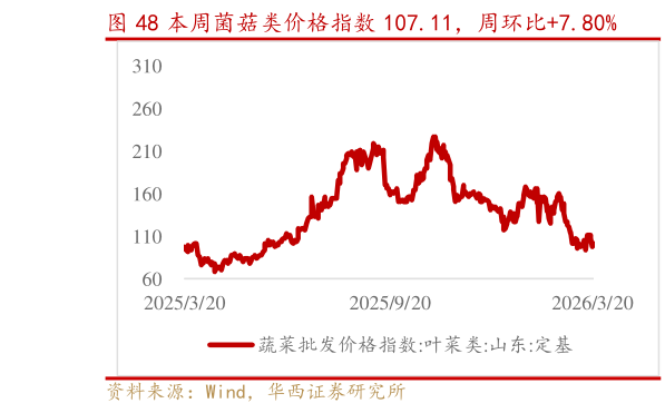 想问下各位网友本周菌菇类价格指数 107.11，周环比7.80%