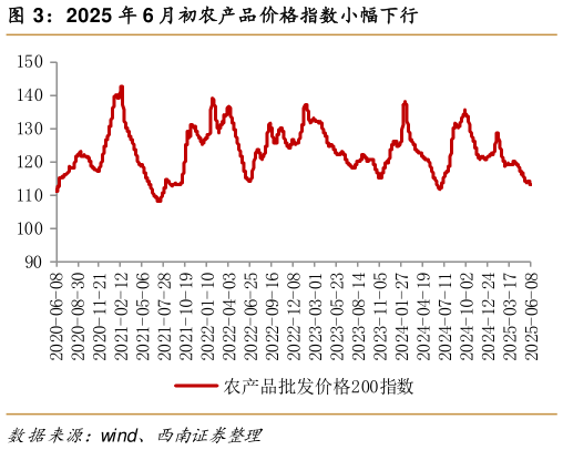 想关注一下2025 年 6 月初农产品价格指数小幅下行