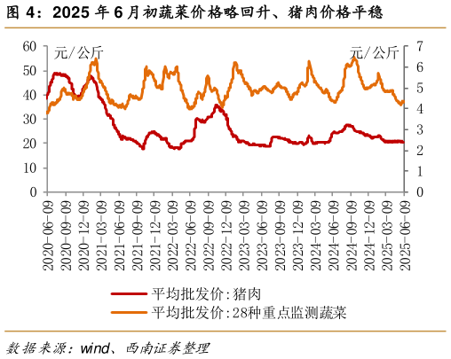 怎样理解2025 年 6 月初蔬菜价格略回升、猪肉价格平稳