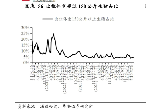 咨询大家出栏体重超过 150 公斤生猪占比