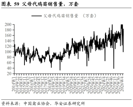 我想了解一下父母代鸡苗销售量，万套