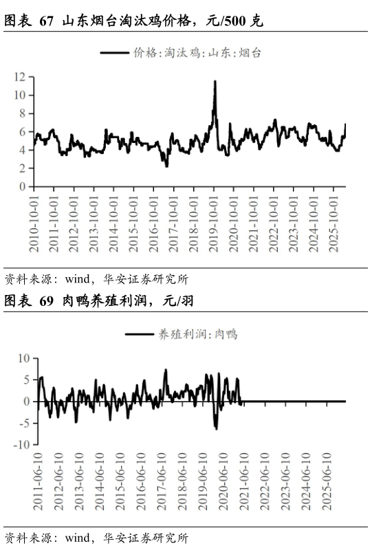 你知道山东烟台淘汰鸡价格，元500 克