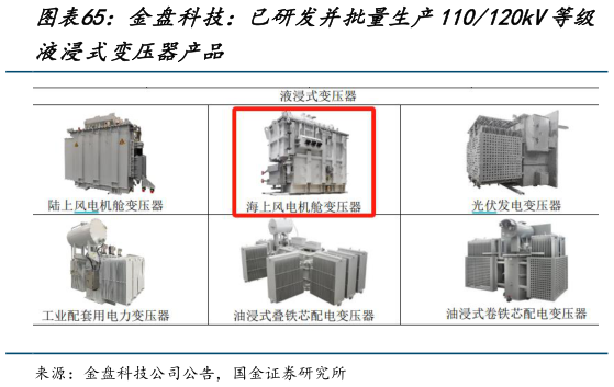 谁能回答金盘科技：已研发并批量生产110120kV等级