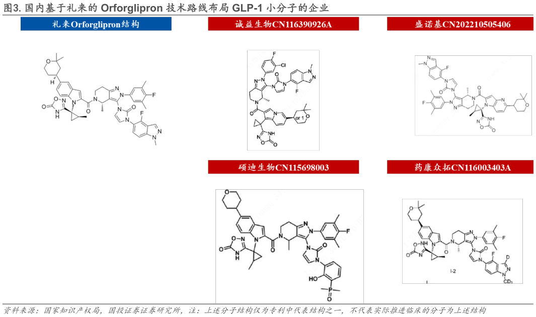 想关注一下.国内基于礼来的 Orforglipron 技术路线布局 GLP-1 小分子的企业?