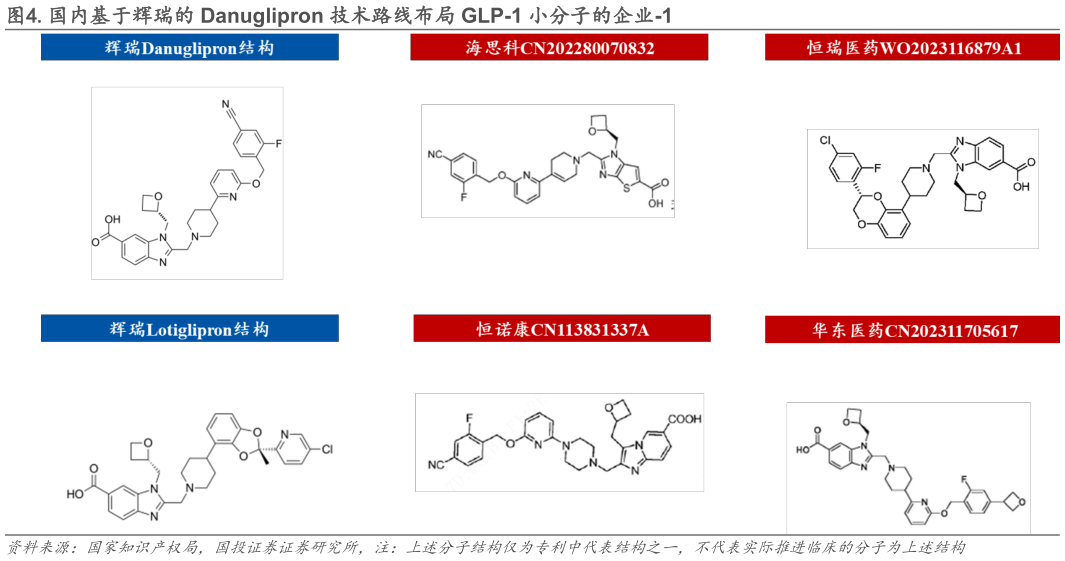 我想了解一下.国内基于辉瑞的 Danuglipron 技术路线布局 GLP-1 小分子的企业-1?