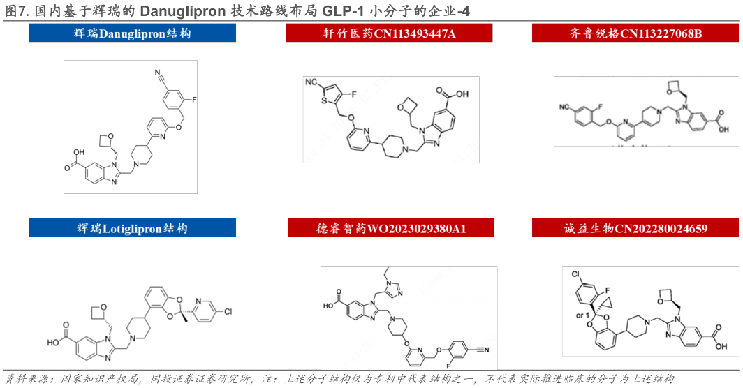 我想了解一下.国内基于辉瑞的 Danuglipron 技术路线布局 GLP-1 小分子的企业-4?