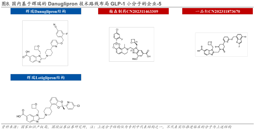 如何了解.国内基于辉瑞的 Danuglipron 技术路线布局 GLP-1 小分子的企业-5?