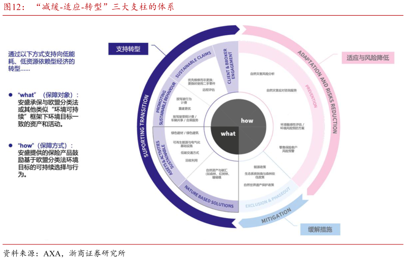 怎样理解“减缓-适应-转型”三大支柱的体系?