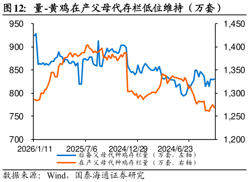 谁知道量-黄鸡在产父母代存栏低位维持（万套）?