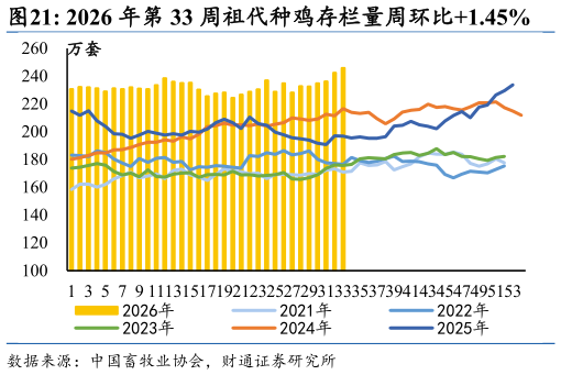 如何了解2026 年第 33 周祖代种鸡存栏量周环比1.45%