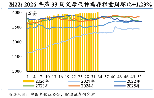 谁知道2026 年第 33 周父母代种鸡存栏量周环比1.23%