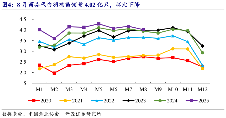 如何了解8 月商品代白羽鸡苗销量 4.02 亿只，环比下降?