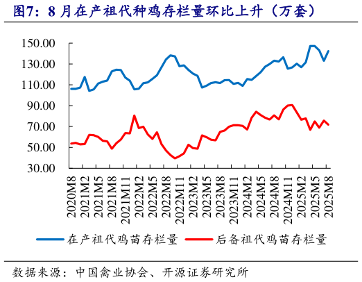 如何解释8 月在产祖代种鸡存栏量环比上升（万套）?