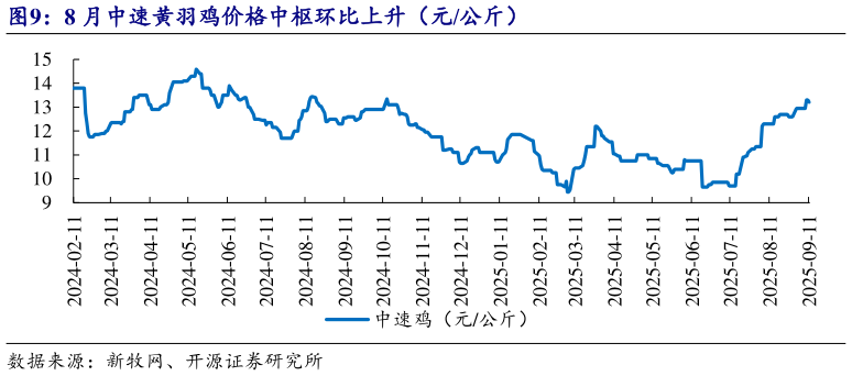 谁知道8 月中速黄羽鸡价格中枢环比上升（元公斤）