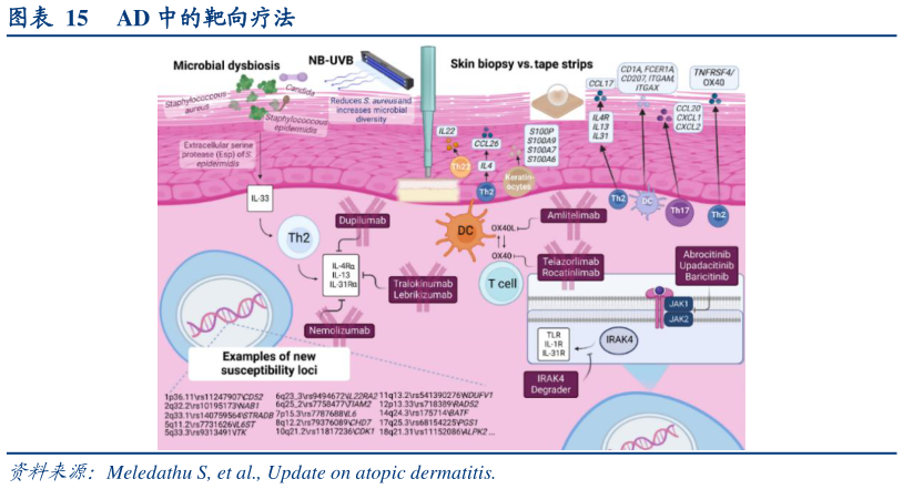 咨询大家AD 中的靶向疗法