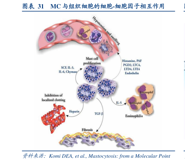 咨询下各位MC 与组织细胞的细胞-细胞因子相互作用