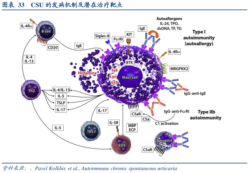 怎样理解CSU 的发病机制及潜在治疗靶点