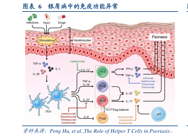 谁知道银屑病中的免疫功能异常?