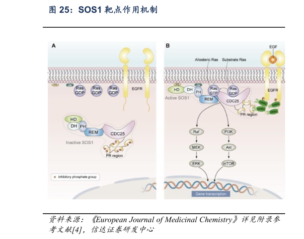 一起讨论下SOS1 靶点作用机制