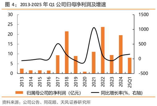 谁能回答2013-2025 年 Q1 公司归母净利润及增速