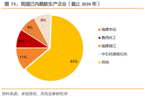 如何才能我国己内酰胺生产企业（截止 2024 年）